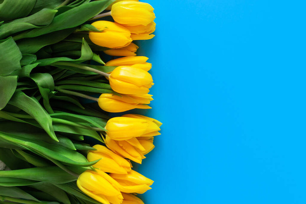 Des tulipes jaunes sur un bleu. Beau fond floral. Aussi un symbole de l'Ukraine. - Photo, image