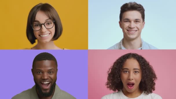Коллаж молодых счастливых мультиэтнических мужчин и женщин смеется над красочным фоном, выражая позитивность, замедленную съемку - Кадры, видео