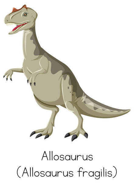 Аллозавр хрупкий стоит на белом фоне иллюстрации - Вектор,изображение