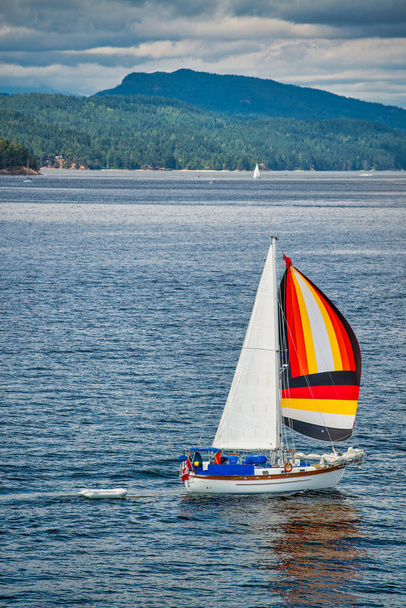 Small sailboat sails in the British Columbia Sound - Photo, Image