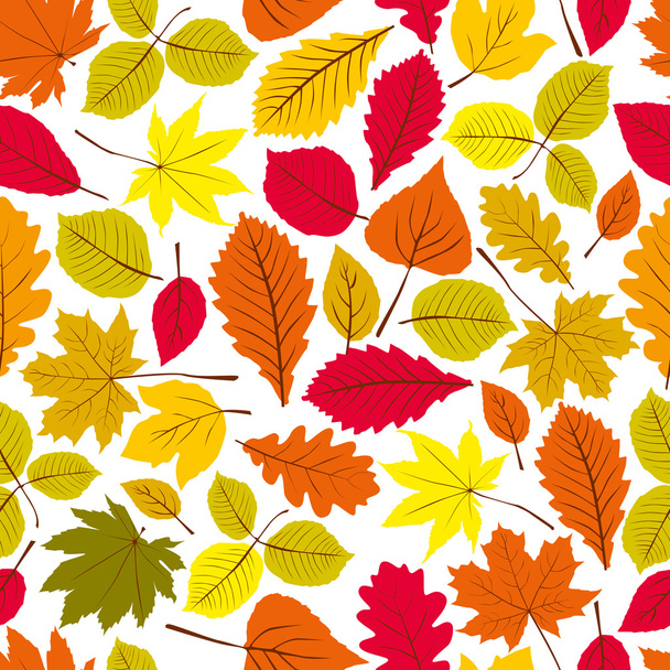 Beautiful leaves seamless pattern, vector natural endless backgr - Вектор,изображение