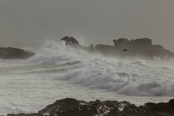 Σπάσιμο κύματος της θάλασσας σε ένα ομιχλώδες απόγευμα. Βόρεια βραχώδης ακτή της Πορτογαλίας. - Φωτογραφία, εικόνα