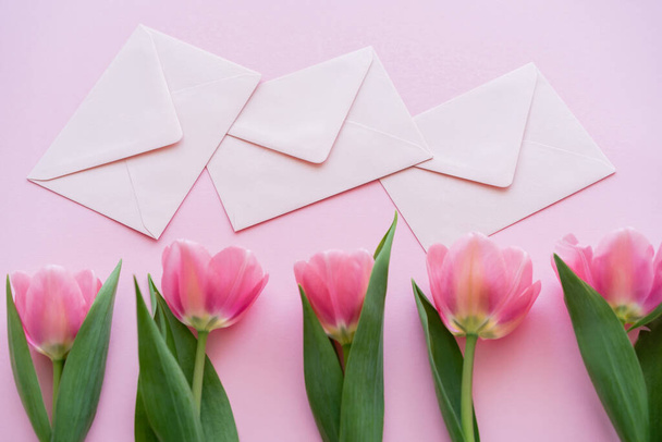 top view of row with blooming tulips and envelopes isolated on pink - Foto, Imagen