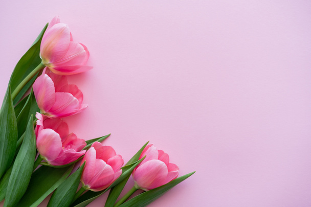 vrchní pohled na kytice kvetoucích květin izolovaných na růžové - Fotografie, Obrázek