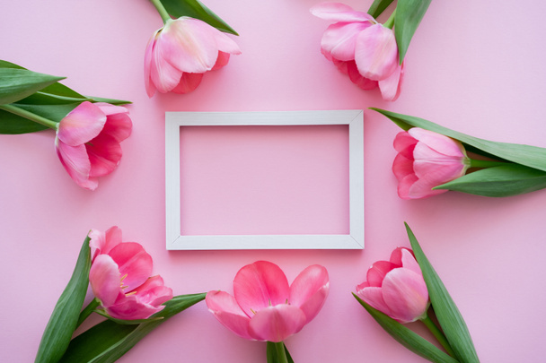 top view of blooming flowers around white frame on pink  - Fotó, kép