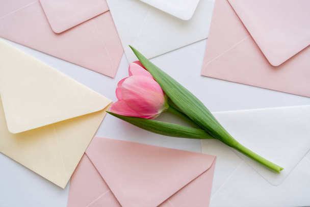 top view of pink tulip on pastel envelopes on white - Фото, изображение