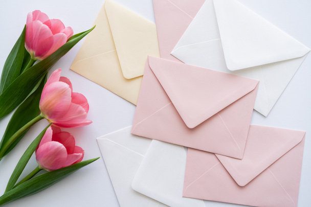 top view of pink tulips near pastel envelopes on white - Фото, зображення