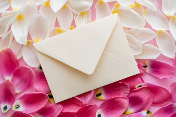 top view of envelope on white and pink floral petals  - Foto, immagini