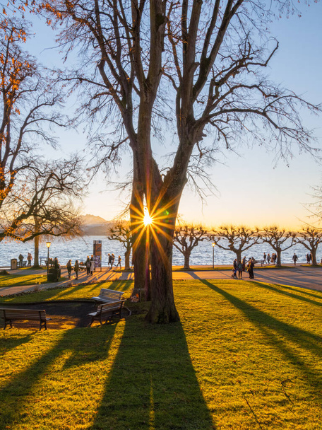 Zug, Suiza - 31 de diciembre de 2021: Los rayos del sol atraviesan el agujero del árbol justo antes de la puesta de sol junto al lago - Foto, imagen