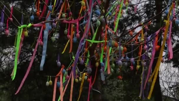 Пасхальная елка, ива украшена декоративными яйцами и цветными лентами, на фоне праздника Пасхи - Кадры, видео