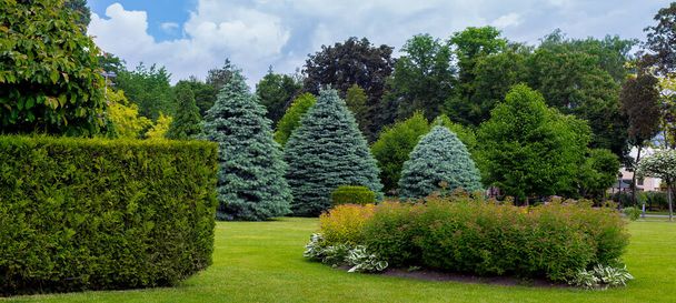 landscaped park with a garden bed and different trees and bushes on a turf lawn, evergreen and seasonal plants in the backyard on overcast weather, banner on nature theme. - Foto, Imagem