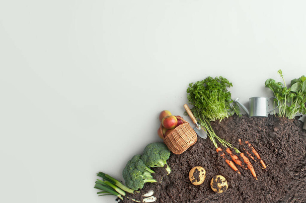 Fruits and vegetables growing in circular garden compost including carrots, potatoes  - Φωτογραφία, εικόνα