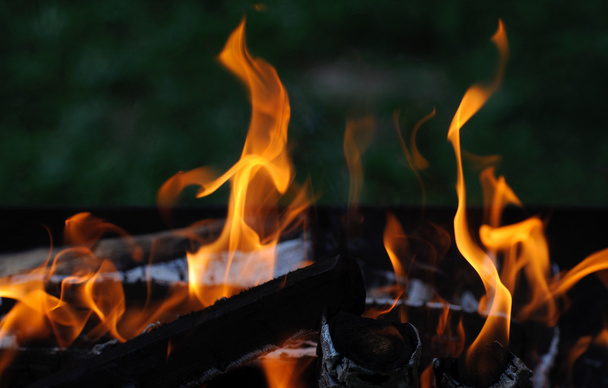 Fire. - Photo, image