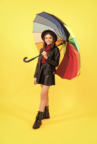 autumn season. rainy weather forecast. back to school. fall fashion accessory - Foto, Imagem