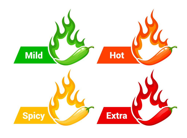 Hot spicy level labels with fire flames and peppers, mild, medium and extra hot spicy vector scale. Food spicy taste level icons with burning flame of chili pepper, jalapeno or tabasco sauce - Wektor, obraz
