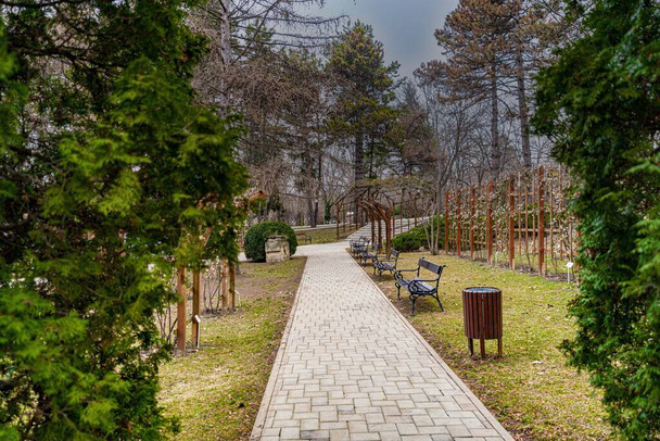 путь в парке - ботанический сад Яссы - Фото, изображение