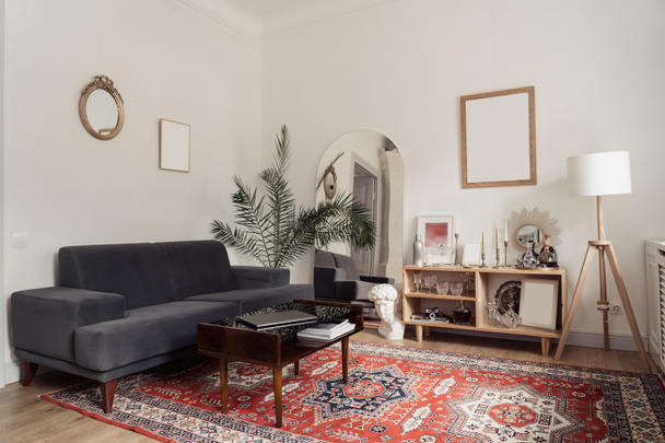 Interior design - sofa, a green plant, white walls - Photo, Image