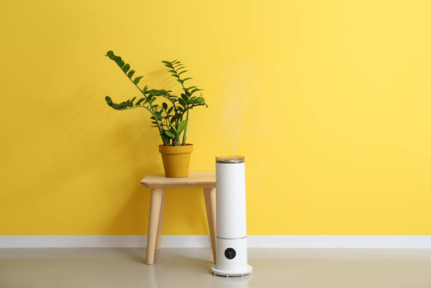 Сучасний зволожувач повітря і стіл з кімнатною рослиною біля кольорової стіни
 - Фото, зображення