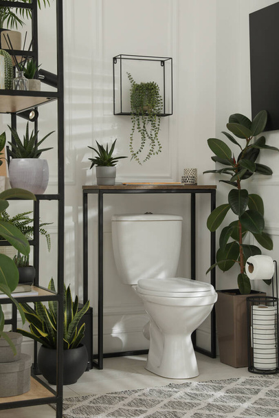 Stylish bathroom interior with toilet bowl and many beautiful houseplants - Foto, imagen