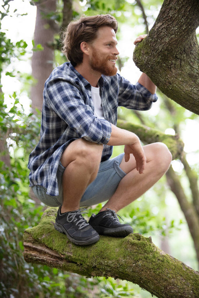 young hiker sitting on tree branch - Foto, Imagen