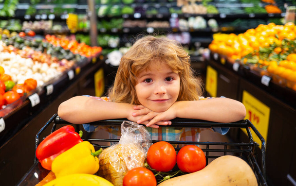 Close up portrait of kids shopping in supermarket. Shopping cart, grocery store concept. - Фото, изображение