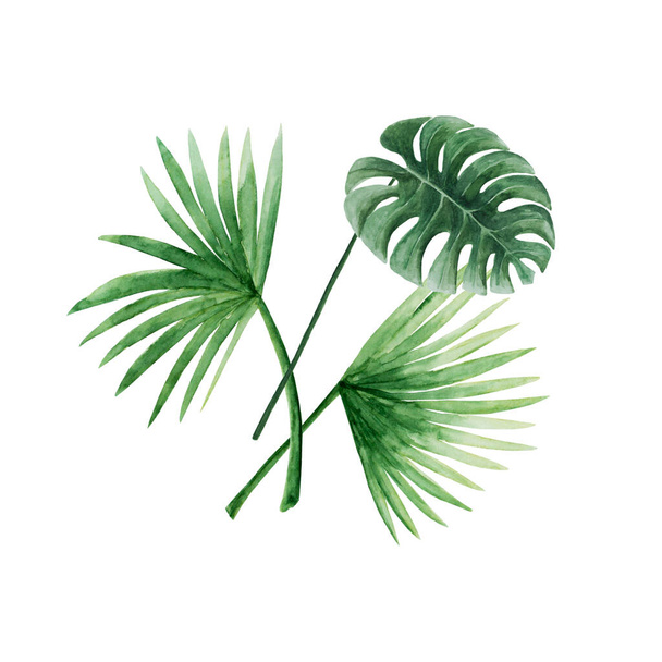 Букет зелёных тропических листьев - Фото, изображение