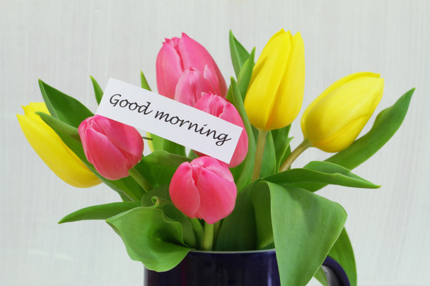 Bom dia cartão com tulipas coloridas
 - Foto, Imagem