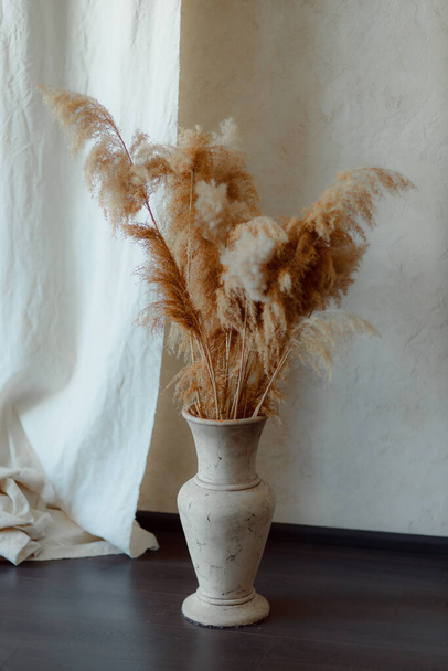 Dry reeds boho style. Golden reed grass, pampas grass. Abstract natural background. Beige reeds in vase with beautiful shadows on the wall. Minimal styled concept. Plaster busts in the interior. - Foto, afbeelding
