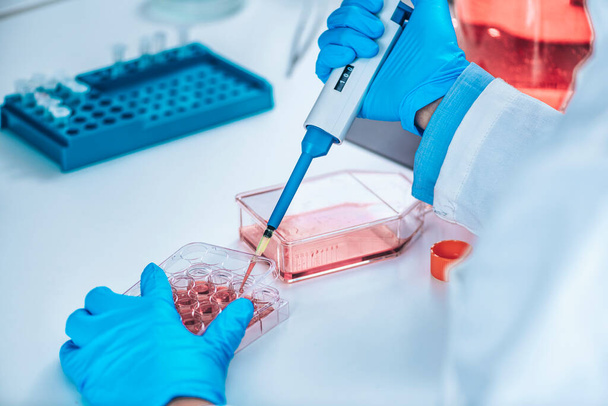 Bioteknologian naispuolinen tutkija laboratoriossa, joka työskentelee soluviljelmän parissa - Valokuva, kuva