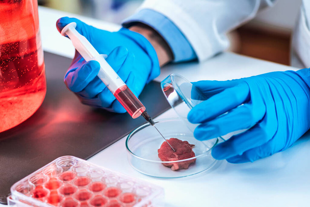 Bilim adamı kırmızı sıvıyı petri kabında et örneğine enjekte ediyor. - Fotoğraf, Görsel
