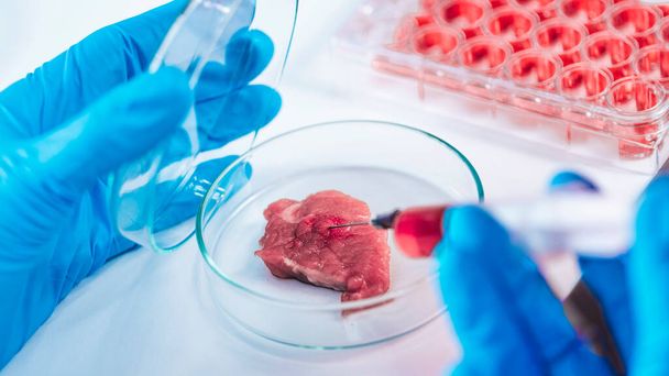 Científico inyectando líquido rojo con jeringa en muestra de carne en placa de Petri, primer plano - Foto, Imagen