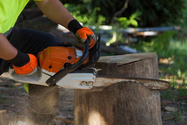 lumberjack or forestry worker working with chainsaw - Φωτογραφία, εικόνα