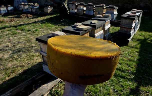 työ mehiläishoitaja sulaa vanha tumma vaha kammat täynnä sairauksia ruostumattomasta teräksestä höyrykattilassa. Suuri vahakakku mehiläishoidossa osoittaa mehiläishoitajaa. Se on useita kiloja myytävänä, mehiläisvahan hinta nousee - Valokuva, kuva