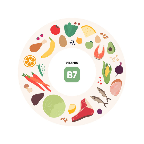 Gezond voedsel gids concept. Vector platte illustratie. Infographic van b7 vitaminebronnen. Kleurrijk vlees, fruit, groenten en granen icoon set. - Vector, afbeelding