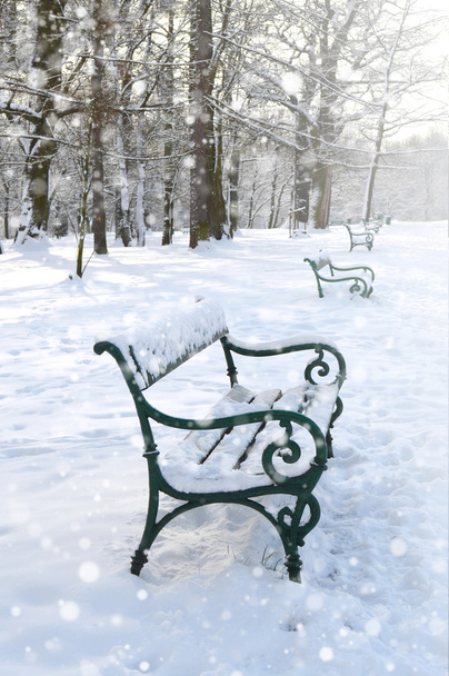 Des bancs dans le parc. Paysage hivernal
 - Photo, image