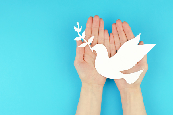 Paper dove with a twig in female hands. A symbol of peace - Foto, Imagem