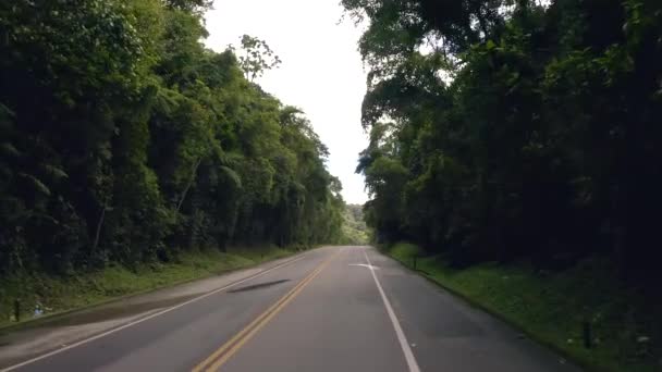 La strada attraverso una foresta. Foresta tropicale. - Filmati, video
