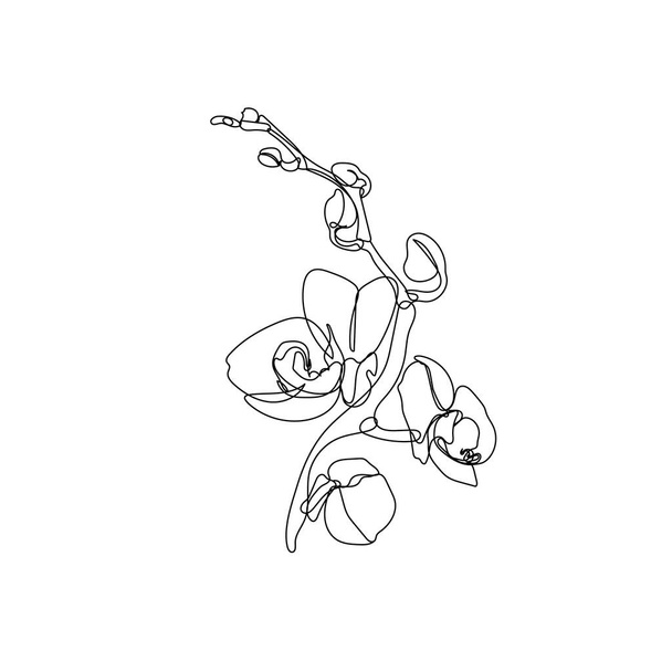 Jeden rysunek linii orchidei kwiat - Wektor, obraz