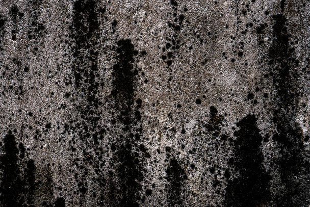 Régi szürke kő fal zöld moha textúra háttér - Fotó, kép