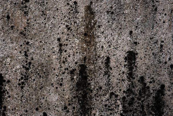 Vanha harmaa kivi seinä vihreä sammal rakenne tausta - Valokuva, kuva