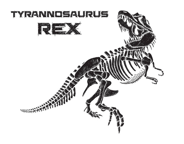 Tyrannosaurus rex luuranko käsin piirretty vektori kuvitus valkoisella taustalla - Vektori, kuva