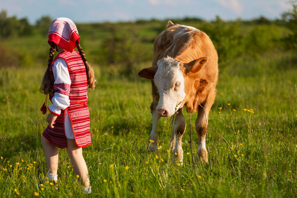 little girl tending cows - Fotografie, Obrázek
