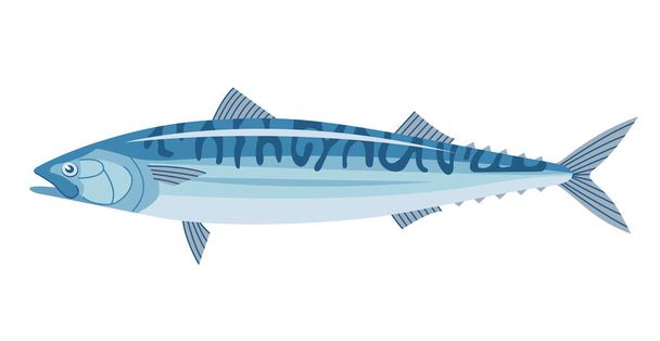 Sea fish mackerel. Underwater marine life. Cooking delicious food. Flat vector illustration isolated on a white background - Vetor, Imagem