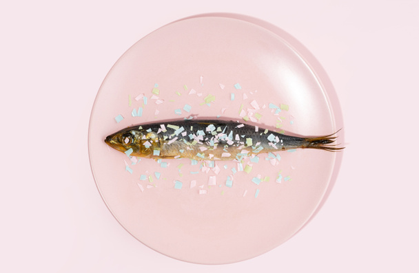 Fisch bedeckt Mikroplastik auf einem rosa Teller. Auswirkungen von Mikroplastik auf die Nahrungskette. Die Idee der Mikroplastik-Verschmutzung. Konzept der Umweltschäden. - Foto, Bild