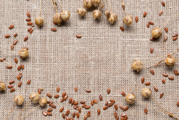 sucha roślina lniana i nasiona rozrzucone na tkaninie jutowej, ujęcia z bliska - Zdjęcie, obraz