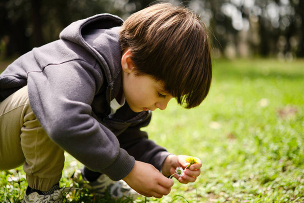 Παιδί απολαμβάνει τη φύση, ενώ μαζεύοντας λουλούδια από το γρασίδι σε εξωτερικούς χώρους. - Φωτογραφία, εικόνα