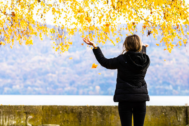 Vista trasera de una mujer sola disfrutando del otoño, arrojando hojas caídas en el callejón de otoño. Paisaje otoñal, follaje naranja en un parque en Orsova, Rumania, 2020 - Foto, imagen