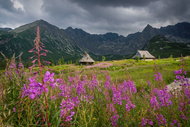 hut, Gasienicowa Valley, Tatra National Park, Lesser Poland Voivodeship, Carpathians, Poland - Valokuva, kuva