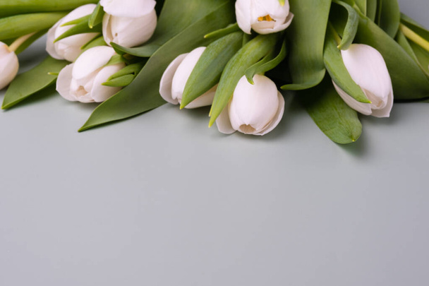 Border of white tulips on a pale gray background. Mockup for spring greeting card. - Photo, Image