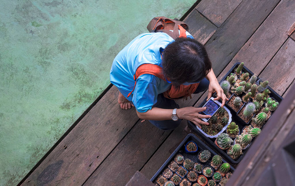 Yetişkin bir kadının akıllı telefon kullanarak kaktüs bitkisinin eski kahve dükkanının avlusunda fotoğrafını çekmesi. - Fotoğraf, Görsel